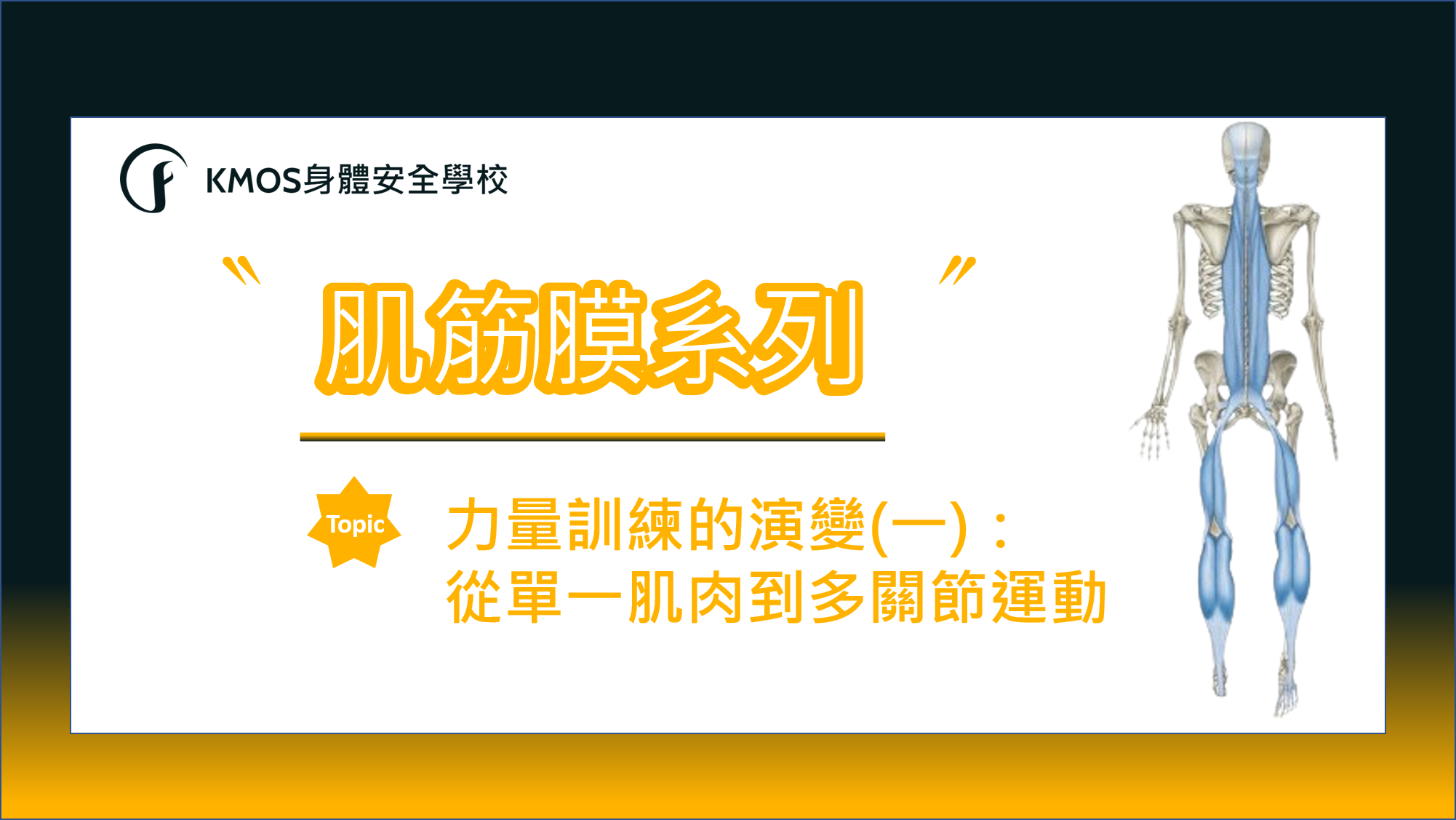 力量訓練的演變 一 從單一肌肉到多關節運動 Kmos身體安全學校